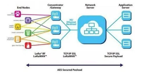 航順芯片 醫(yī)療芯片出貨領跑，物聯(lián)網(wǎng)賽道聚焦智慧計量新藍海